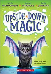 cover of Upside Down Magic